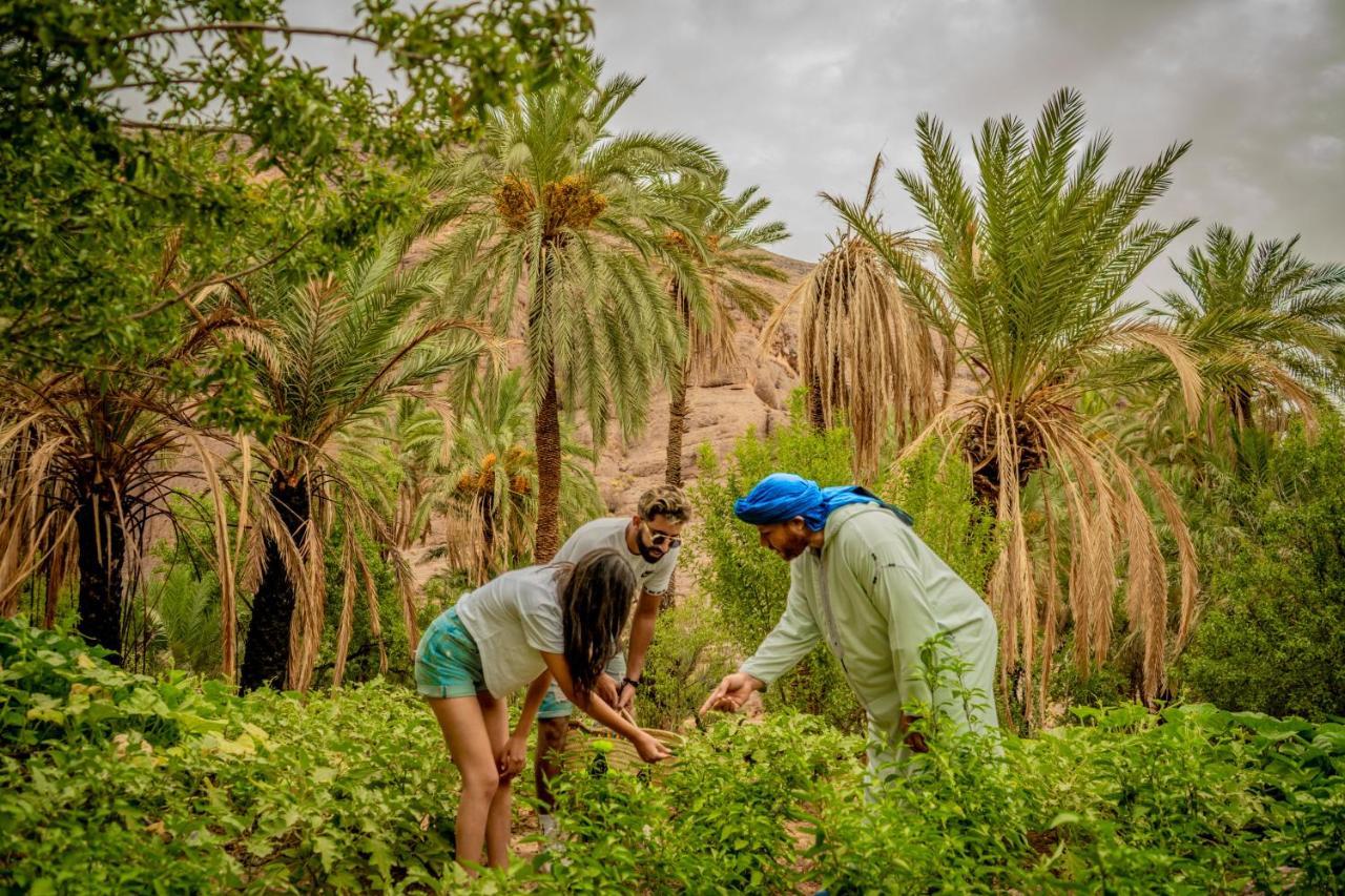 Ouednoujoum Ecolodge & Spa Ouarzazate Eksteriør bilde