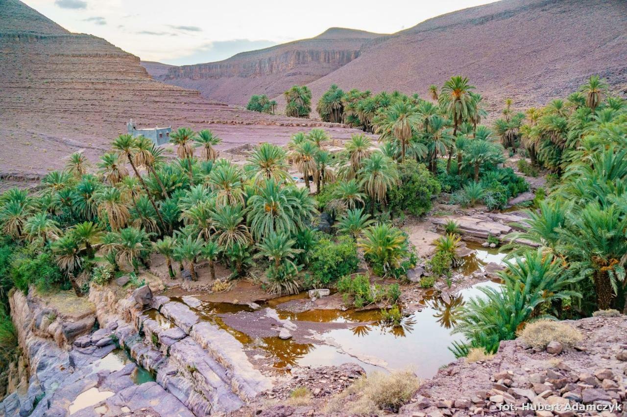 Ouednoujoum Ecolodge & Spa Ouarzazate Eksteriør bilde